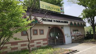 やまがた川西ダリア園