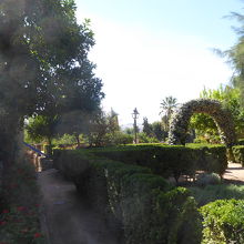 アルカサルの庭園