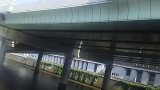 将来が楽しみです