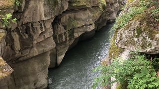 森林浴をしながら