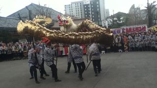 菊供養会 金龍の舞