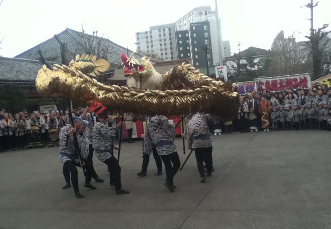 菊供養会 金龍の舞