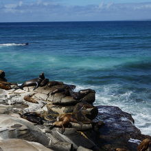 La Jolla１