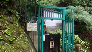 　蛇滝コースから高尾山に登りました