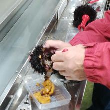 殻から取り出す