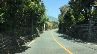 他の場所にも玉石があったので玉石は八丈島に多くあるのですね