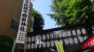 博多どんたくの神社です。
