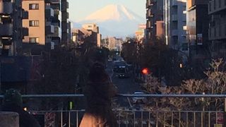 冬場は富士山がとても綺麗です