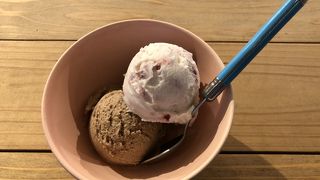 ヘルシーアイス