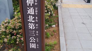 公園と言うより川沿いの通路