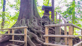 石神井公園内の史跡