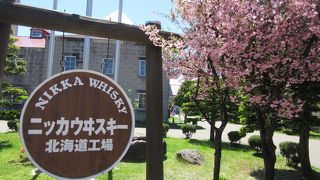 ウイスキー好きじゃなくても無料で楽しめます