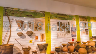 かなり立派な箱モノ