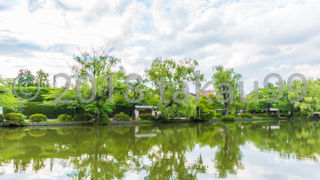 初夏の再訪です