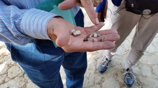 モザイク画が美しい