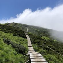 山頂の木製の遊歩道