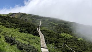 登山道はとても整備されています