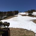 春スキーを満喫「焼額山スキー場」