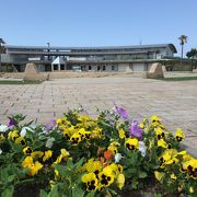 いよいよシーズン、湘南海岸公園