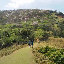 伊豆山稜線歩道
