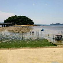 絶好の潮干狩り日和でした。