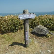 達磨山山頂