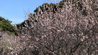 無料のレンタル自転車