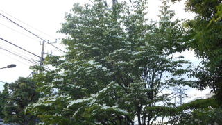 分かり易く学べる工夫が多い