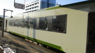 東京都内唯一の地方交通線。