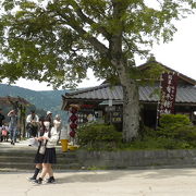 湖畔からの富士山