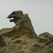 ゴジラの様な形をした岩でした。