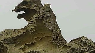 ゴジラの様な形をした岩でした。