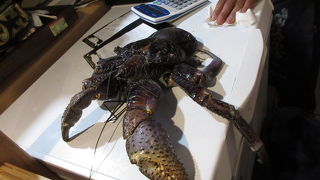 居酒屋はいさい