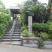 鎌倉谷戸歩きの途中で光照寺に寄りました