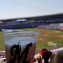 マッコリが飲める球場は珍しいと