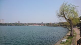 池の中に島がある憩いの公園です。