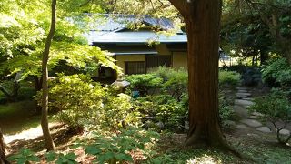 日本庭園内の茶室でお点前がいただけます