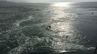 船から見る絶景