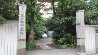 広い境内には木々が鬱蒼と生い茂る都会では珍しいお寺です。