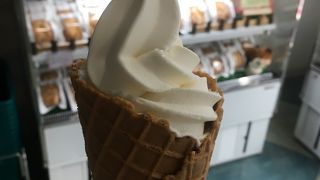 蒜山高原と言えばジャージー牛！霧の中でソフトクリームをいただく