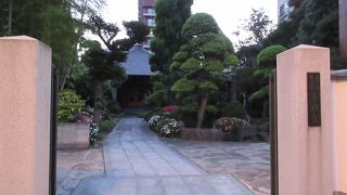 松や竹林もある静かな境内に癒されました。