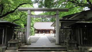 新緑の緑豊かな境内をゆっくりと参拝することが出来ました。