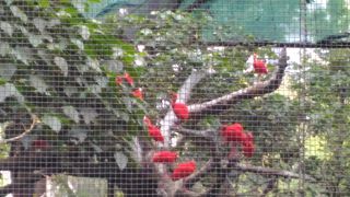 無料なのにすごい！