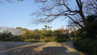 かつて大阪の豪商の住まいだった庭園です