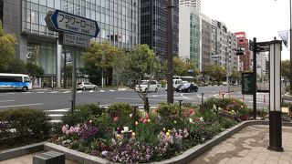 歩道沿いにお花が植えられていました