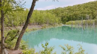 青緑に見えました「青い池」白金