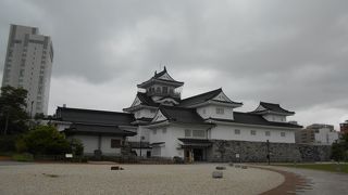 一応富山市中心部は一望できる。