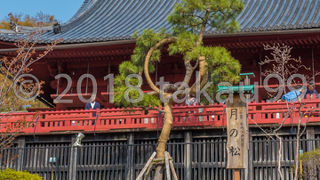 正面下から見ると全景が見えて良いと思います。