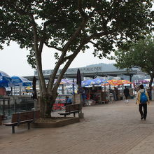 チケット屋さんが２０軒ぐらい並んでいます