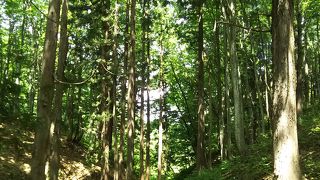 季節それぞれの風景が見られるのが魅力